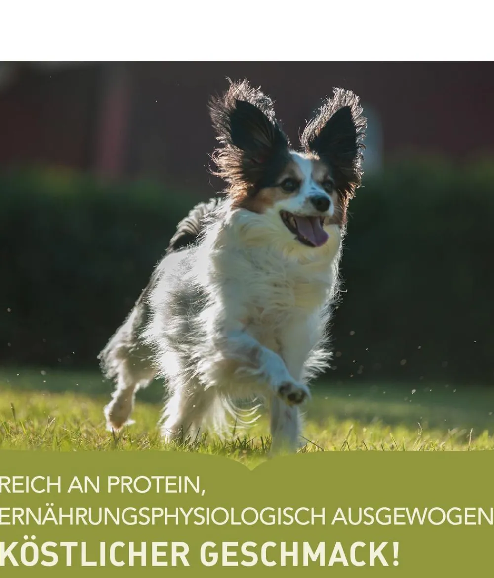 ACANA Trockenfutter Hund > Trockenfutter für Hunde Heritage Adult Small Breed Recipe