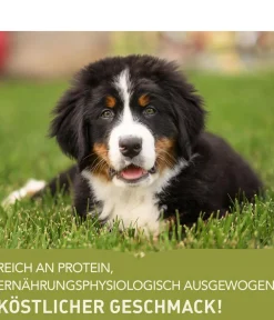 ACANA Trockenfutter Hund - Trockenfutter für Hunde Heritage Puppy Large Breed Recipe