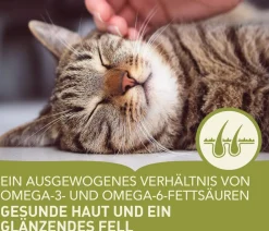 ACANA Trockenfutter für Katzen Regionals Cat Wild Prairie Outlet