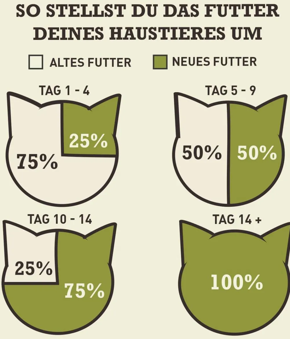 ACANA Trockenfutter für Katzen Regionals Cat Grasslands Best