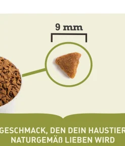 ACANA Trockenfutter Katze - Trockenfutter für Katzen Adult Cat Indoor Entrée