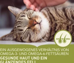 ACANA Trockenfutter für Katzen Regionals Cat Pacifica Online