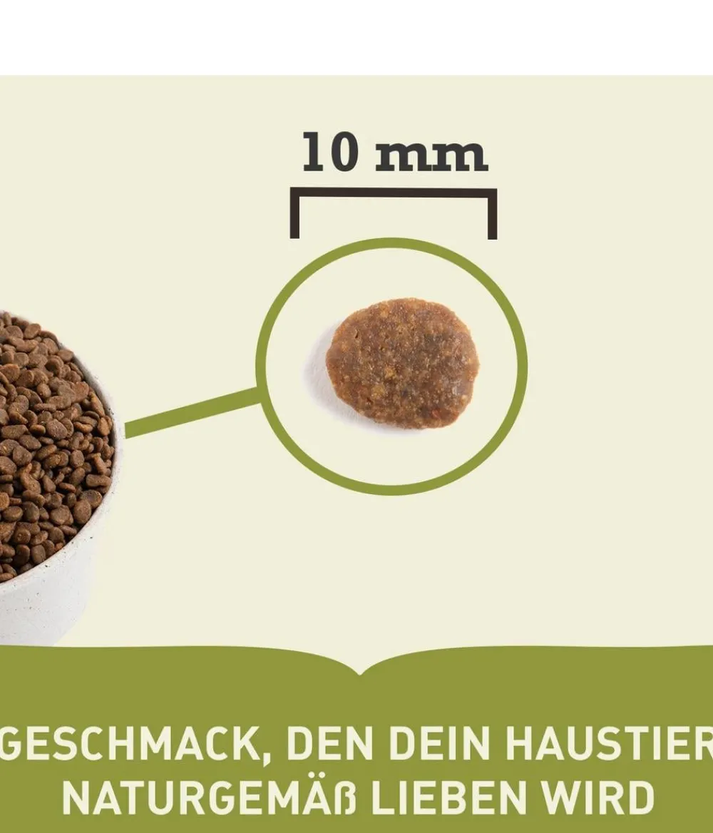 ACANA Trockenfutter Katze - Trockenfutter für Katzen Regionals Cat Pacifica