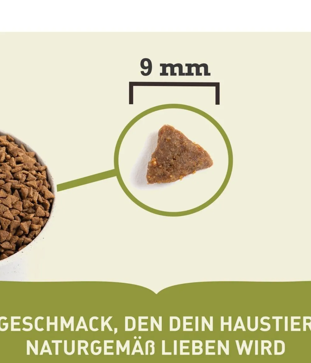 ACANA Trockenfutter Katze - Trockenfutter für Katzen Adult Cat Bountiful Catch