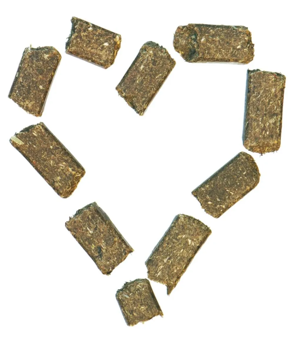 Agrobs Pferdeleckerli Wiesenbussi, 1 kg Sale