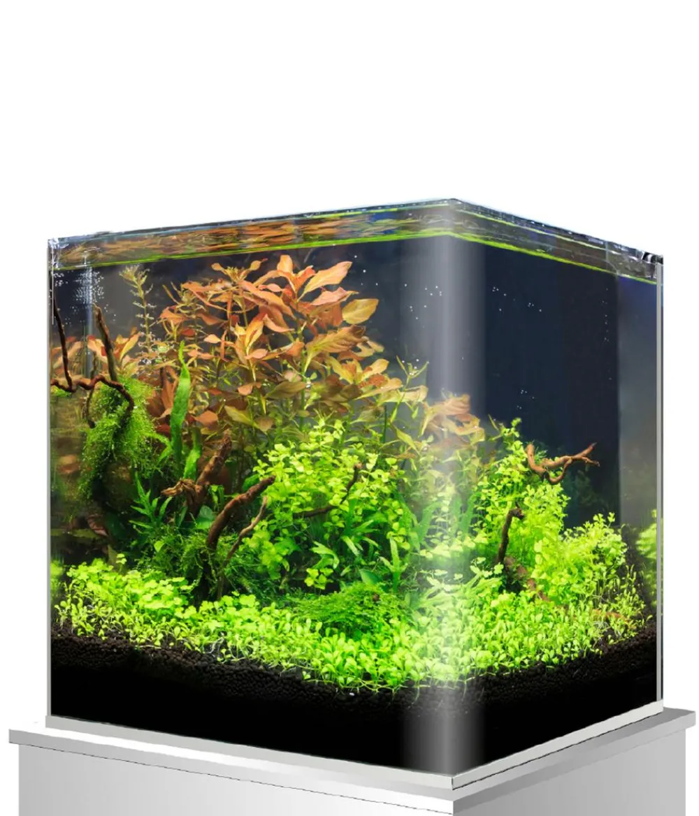 amtra Einsteiger Aquarien > Aquarium Nanotank