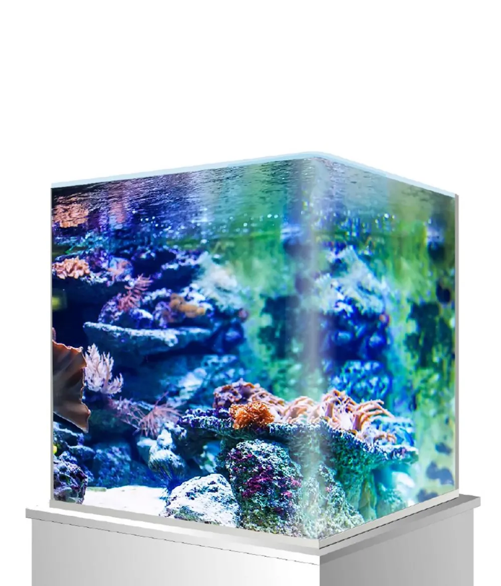 amtra Aquarium Nanotank Discount