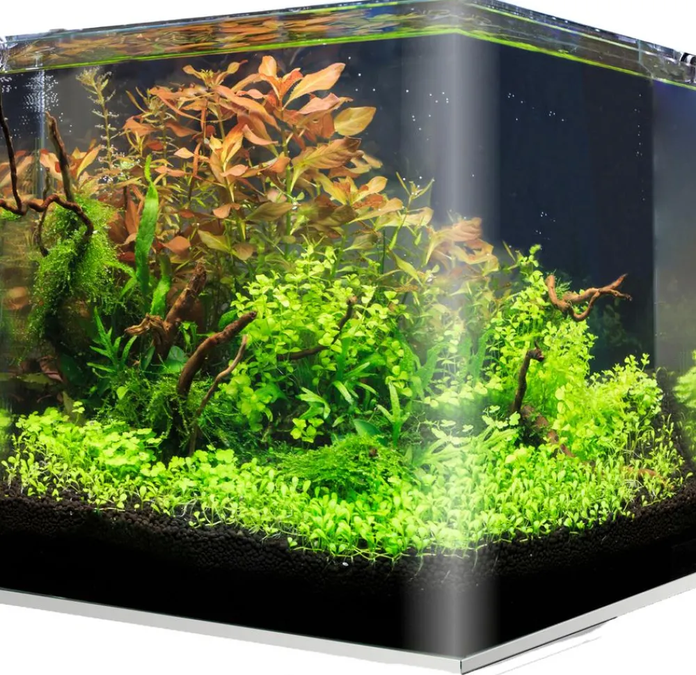 amtra Aquarium-Set Nanotank System Sale