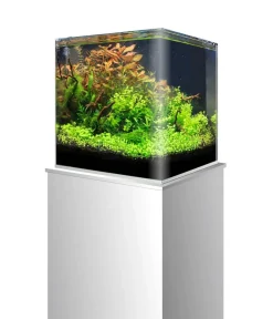 amtra Einsteiger Aquarien - Aquarium-Set Nanotank System