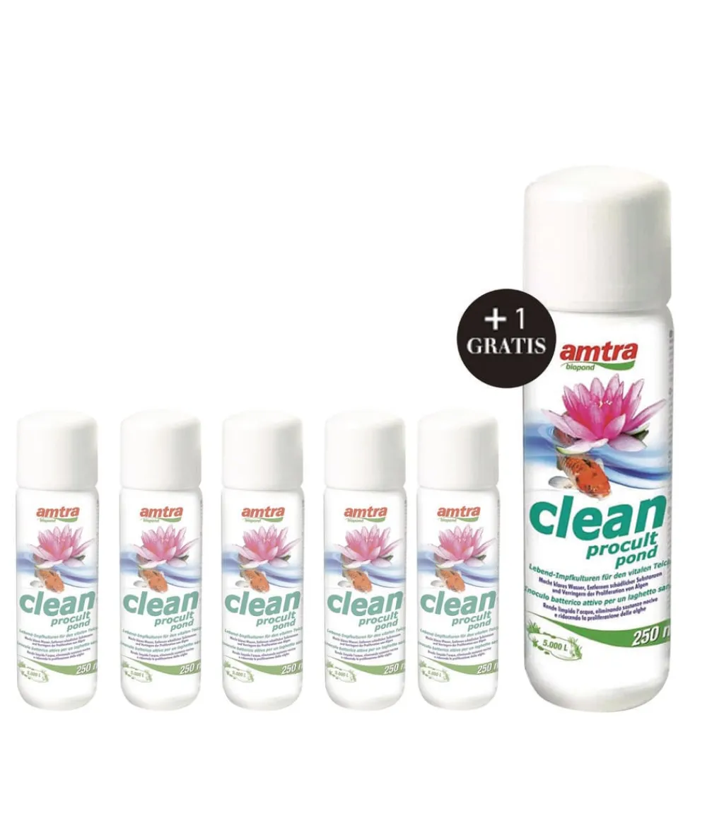 amtra Teichwasseraufbereiter Clean Procult Pond, 5+1 x 250 ml Hot