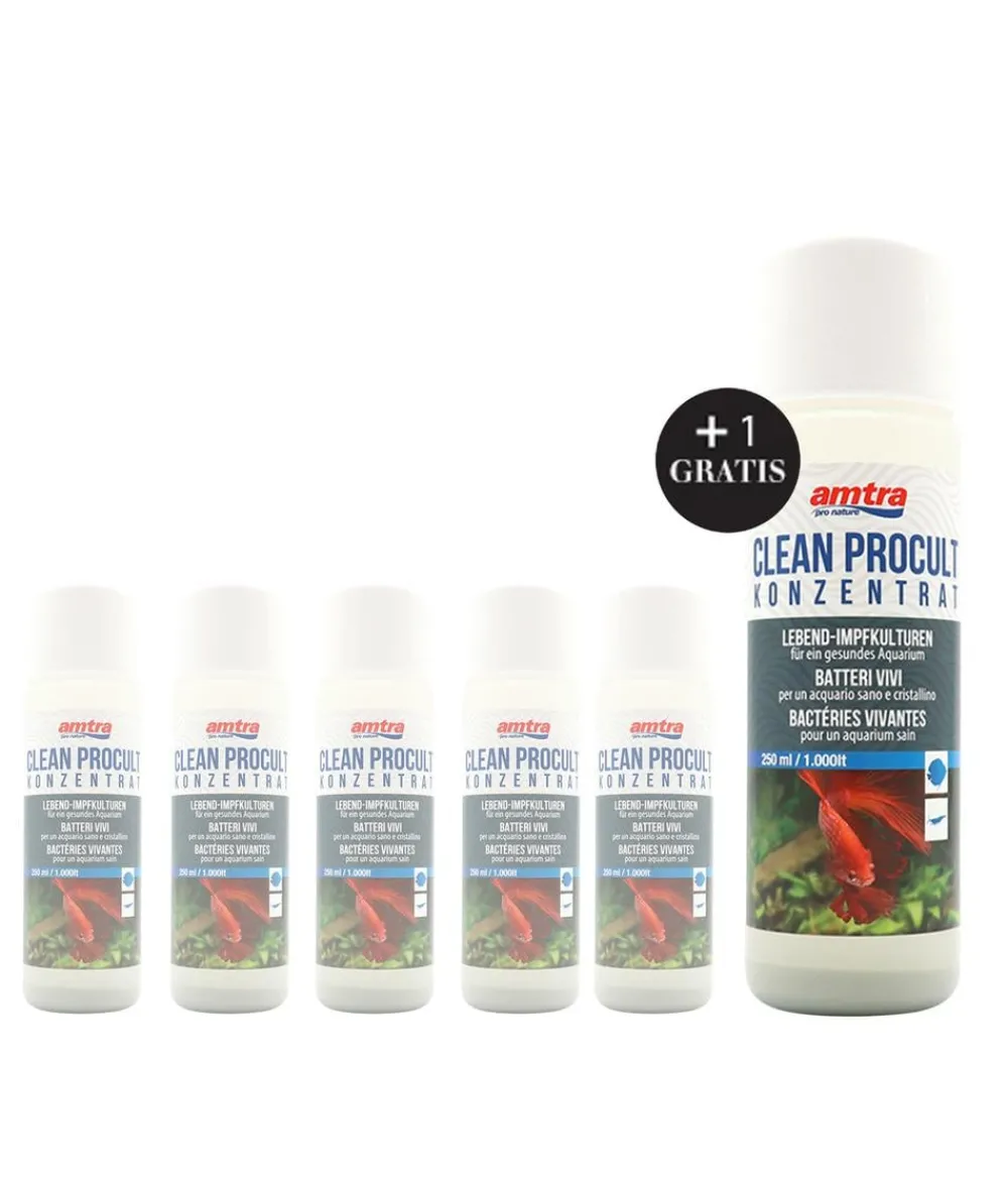 amtra Wasserpflege - Wasseraufbereiter Clean Procult Konzentrat, 5+1 x 250 ml
