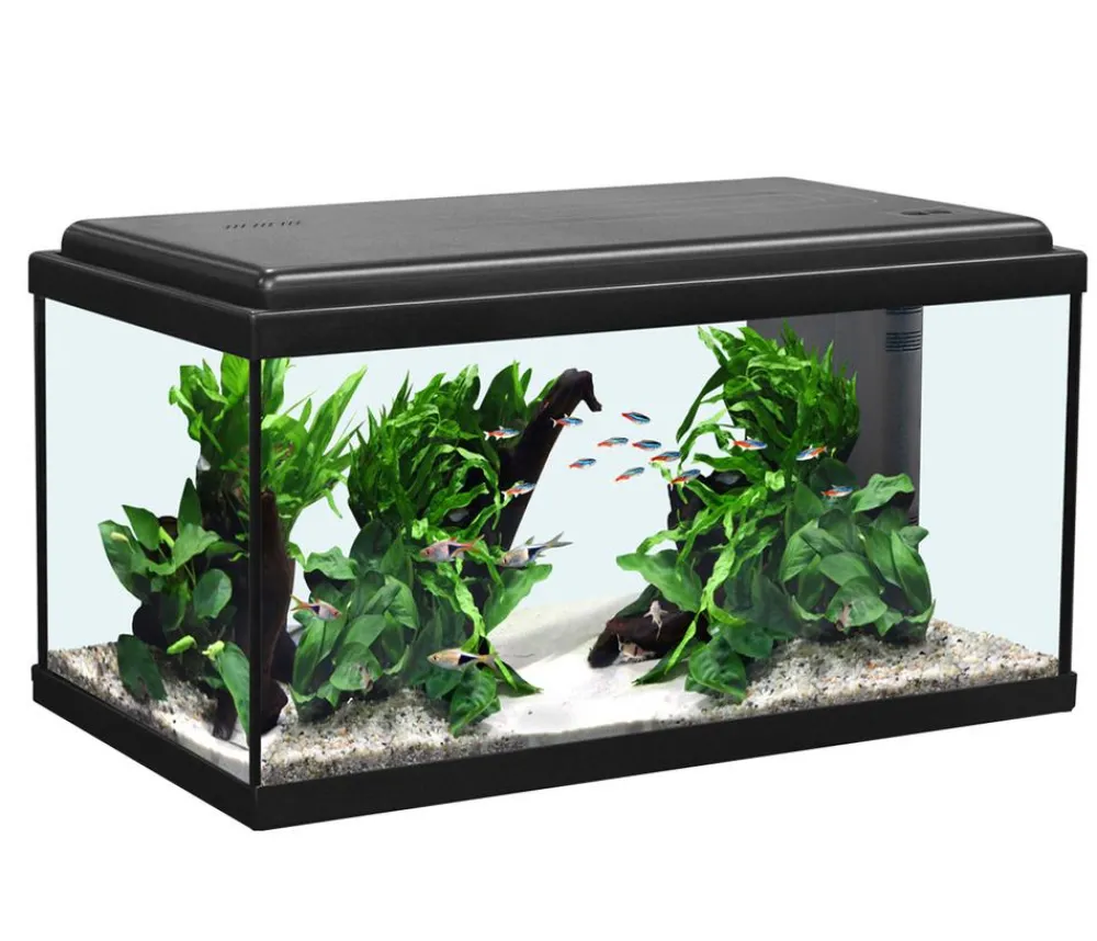 aquatlantis Einsteiger Aquarien > Aquarium Advance 60 LED Set
