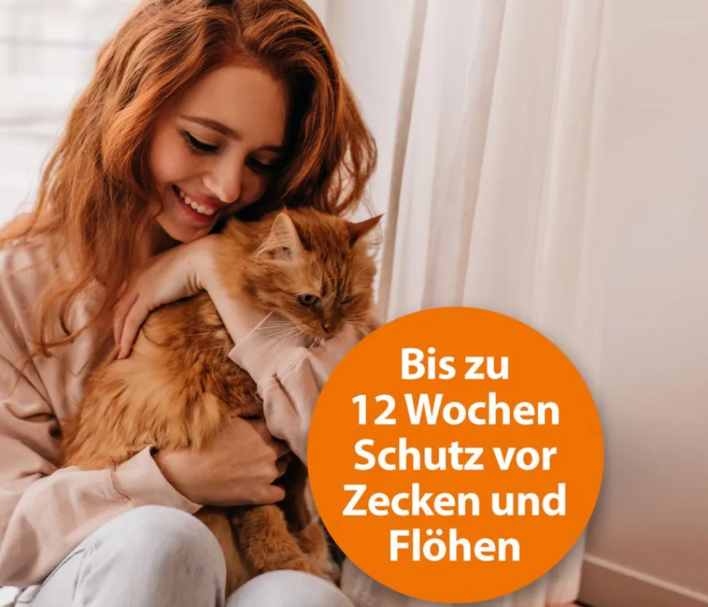 ARDAP® Zecken- und Flohschutz Spot-On für Katzen bis 4 kg, 3 x 0,4 ml Discount