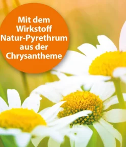 ARDAP® Ungezieferschutz|Hundepflege & Hygiene - Zecken- und Flohschutz Spot-On für kleine Hunde, 3 x 1 ml