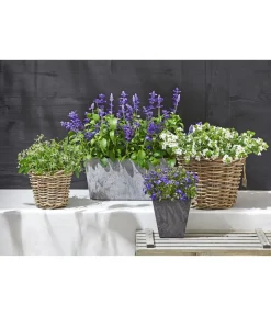 Artstone Pflanzkübel & Blumenkästen > Kunststoff-Balkonkasten Claire