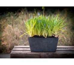 Artstone Kunststoff-Blumenkasten Ella Schwarz Best