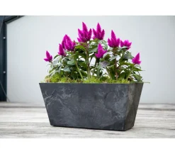 Artstone Kunststoff-Blumenkasten Ella Schwarz Best