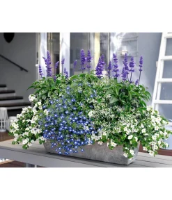 Artstone Kunststoff-Blumenkasten Ella Schwarz Best