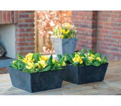 Artstone Kunststoff-Schale Ella, quadratisch Schwarz New