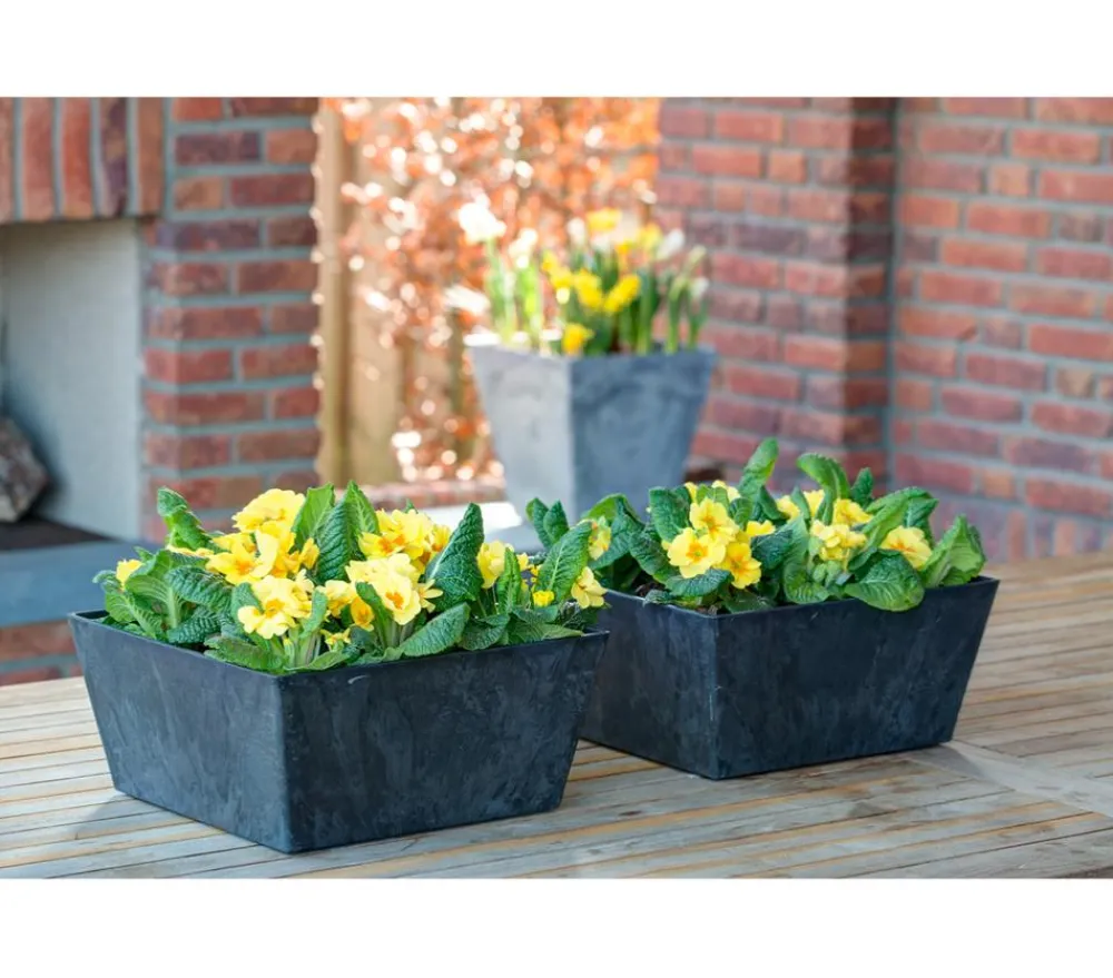 Artstone Kunststoff-Schale Ella, quadratisch Schwarz New