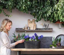 Artstone Blumentopf Untersetzer > Kunststoff-Untersetzer Claire