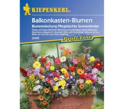 Nebelung/Kiepenkerl Balkonkasten-Blumen Mix, Saatgut von Kiepenkerl Bunt Discount
