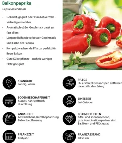Dehner Peperoni- & Paprikapflanzen > Balkonpaprika