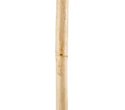 Dehner Rankstäbe - Bambusstäbe Beige