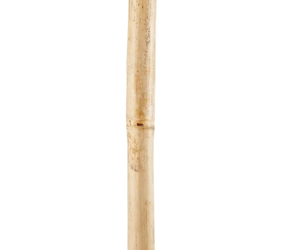 Dehner Rankstäbe - Bambusstäbe Beige