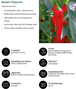 Dehner Basken-Peperoni Rot Sale
