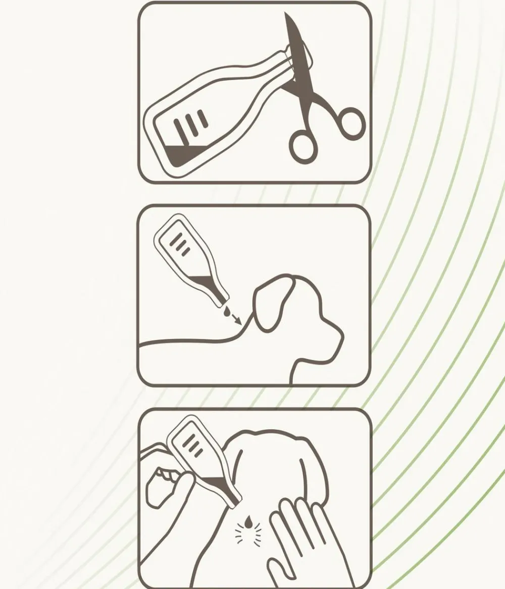 Beaphar Ungezieferschutz|Hundepflege & Hygiene - Spot On für kleine Hunde, 3x1 ml