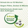 Beaphar Ungezieferschutz|Katzenpflege > Zecken- & Flohschutz SPOT-ON für Katzen, 3x0,8 ml