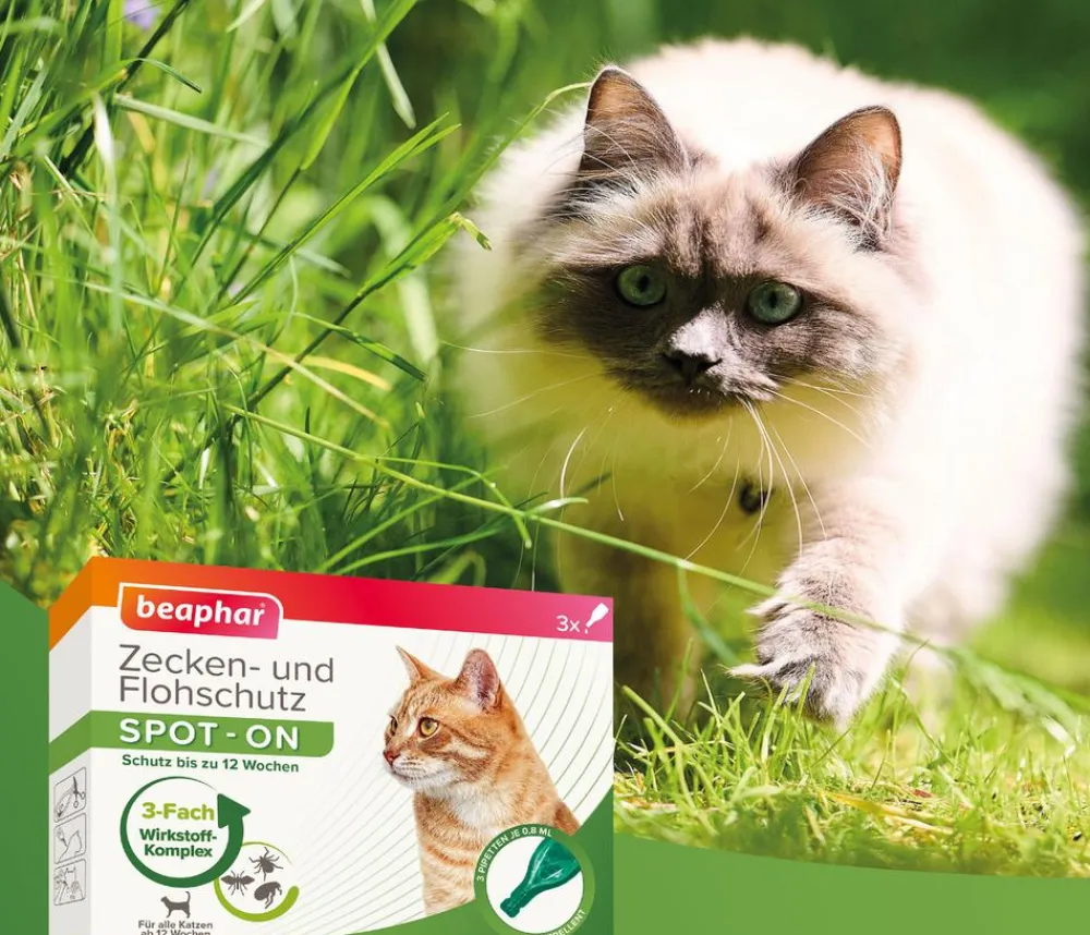 Beaphar Ungezieferschutz|Katzenpflege > Zecken- & Flohschutz SPOT-ON für Katzen, 3x0,8 ml