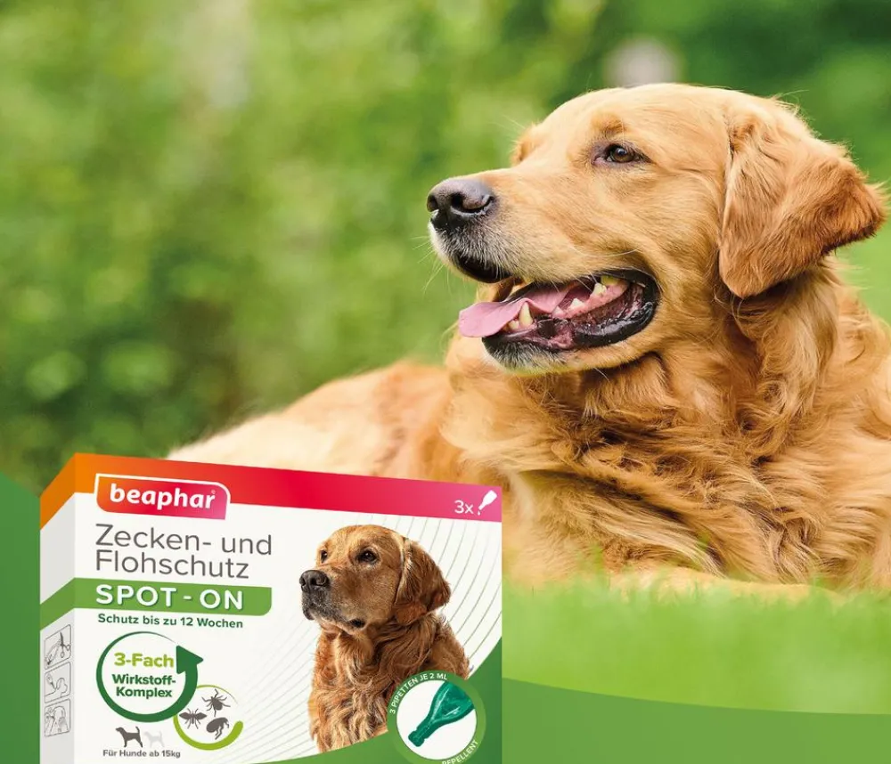Beaphar Zecken- & Flohschutz SPOT-ON für Hunde, 3x2 ml Online