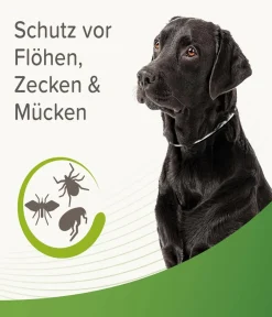Beaphar Ungezieferschutz|Hundepflege & Hygiene > Zecken- und Flohschutzband für Hunde, 65 cm