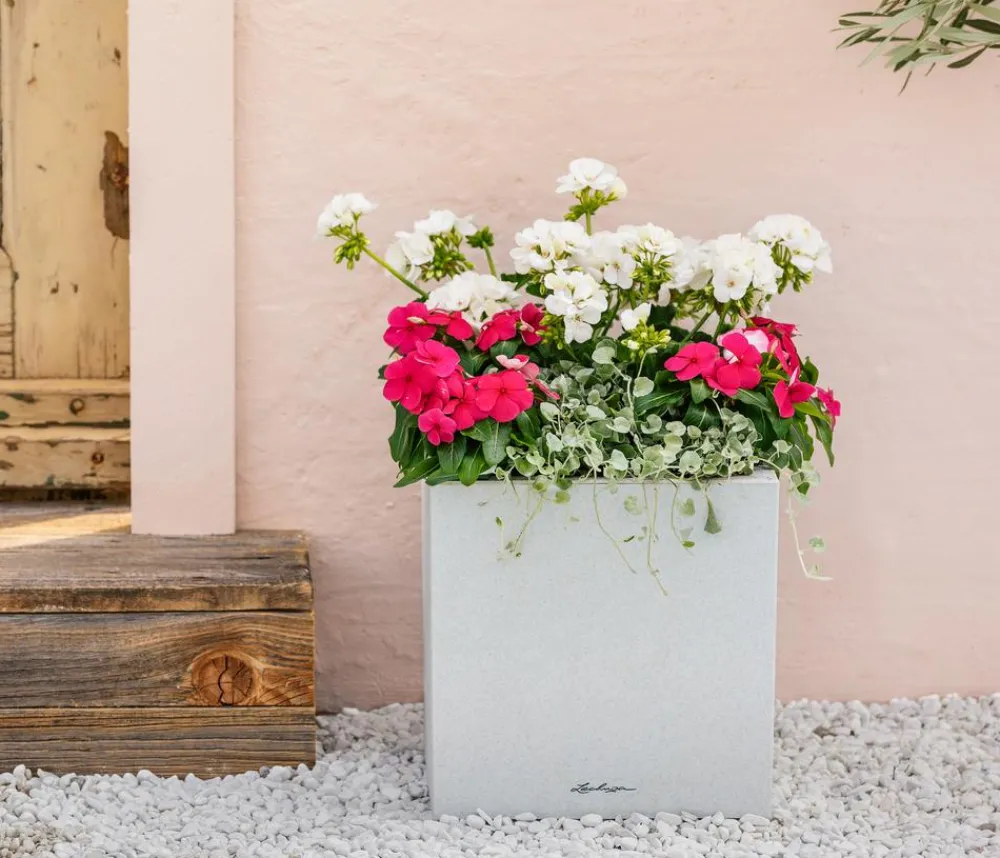 Dehner Balkonpflanzen-Sets|Sommerblumen > Beet- & Balkonpflanzen-Set Sommerliebe, 6-teilig