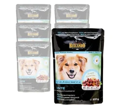 BELCANDO® Nassfutter für Hunde Adult, 6 x 300 g Online