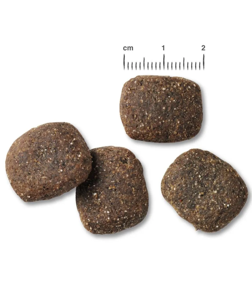 BELCANDO® Trockenfutter Hund > Trockenfutter für Hunde Active Adult