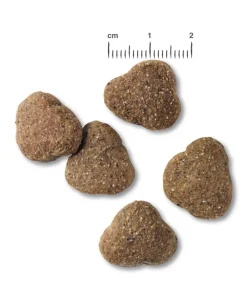 BELCANDO® Trockenfutter für Hunde Junior, Lamb & Rice Sale