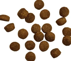 BELCANDO® Trockenfutter Hund - Trockenfutter für Hunde Baseline Fisher Adult, Geflügel & Fisch, 12,5 kg