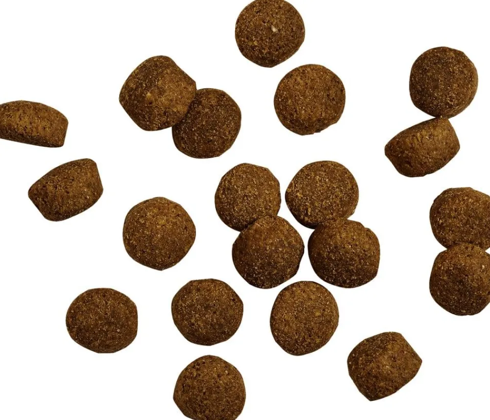 BELCANDO® Trockenfutter Hund - Trockenfutter für Hunde Baseline Fisher Adult, Geflügel & Fisch, 12,5 kg