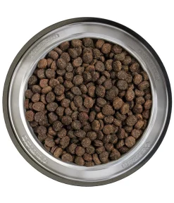 BELCANDO® Trockenfutter Hund - Trockenfutter für Hunde Baseline Explorer, Mini Adult, Fisch, 12,5 kg