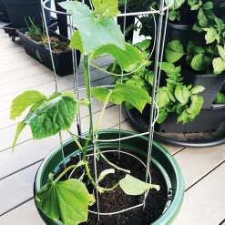 Bellissa Gurkenturm, 120 cm - Ø 20 cm Sale