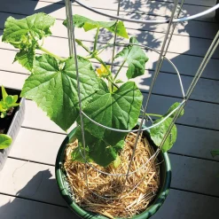 Bellissa Gurkenturm, 120 cm - Ø 20 cm Sale