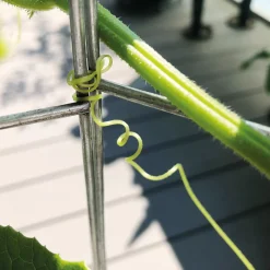 Bellissa Gurkenturm, 120 cm - Ø 20 cm Sale