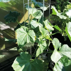 Bellissa Gurkenturm, 120 cm - Ø 20 cm Sale