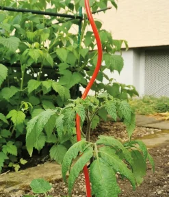 Bellissa Rankstäbe > Stahl-Tomatenspirale Colorata