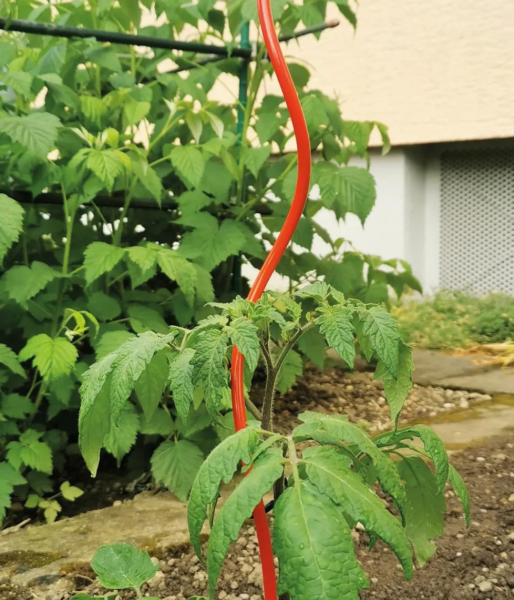 Bellissa Rankstäbe > Stahl-Tomatenspirale Colorata