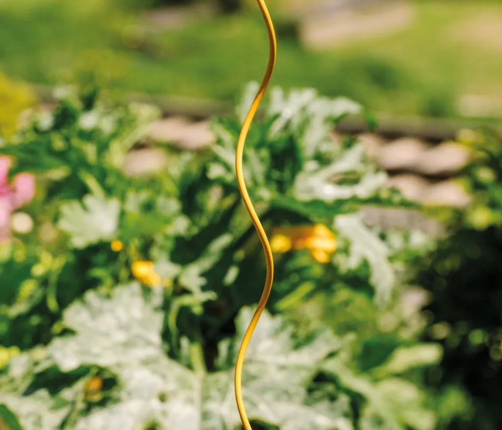 Bellissa Rankstäbe - Stahl-Tomatenspirale Colorata Gelb
