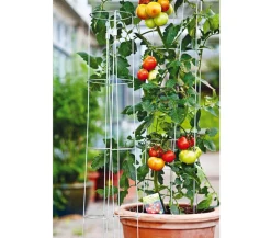 Bellissa Rankgitter & Obelisken > Tomatenturm